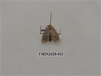 藏品(內點刺蛾)的圖片